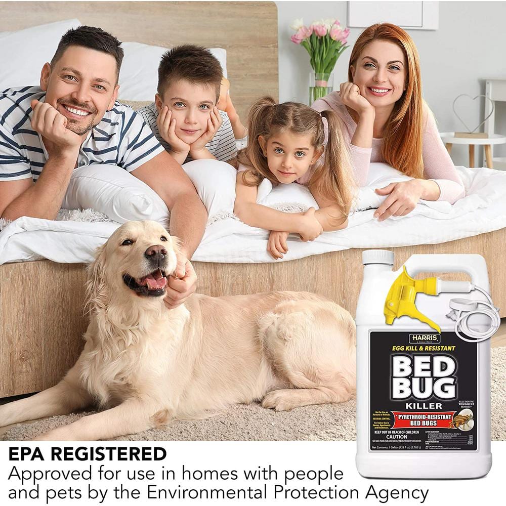 1 Gal. Ready-to-Use Egg Kill and Resistant Bed Bug Killer - Hercitys