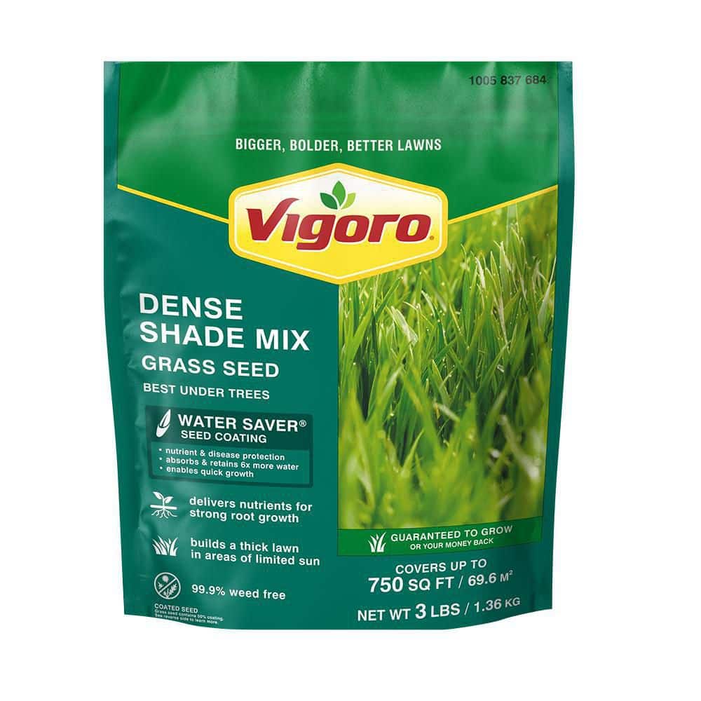 3 lbs. Dense Shade Grass Seed Mix with Water Saver Seed Coating - Hercitys
