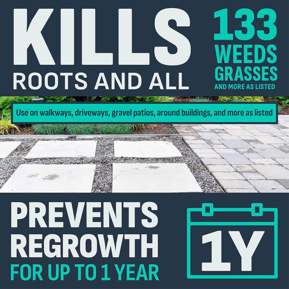 10 lb. 1,000 sq. ft. Outdoor Patio, Driveway and Walkway Noxall Vegetation Killer Granules - Hercitys