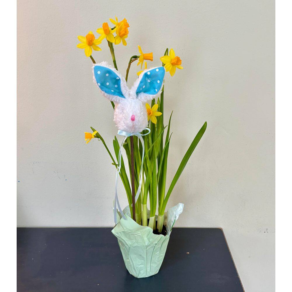 5 in Fluffy Bunny Head with Ears on 12 in Stem, Set of 12 - Hercitys