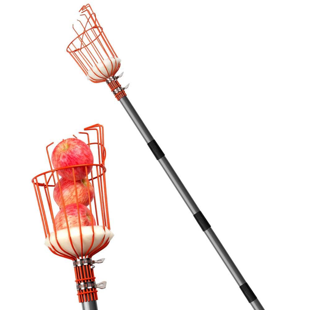 156 in. Stainless Steel Handle Fruit Picker - Hercitys