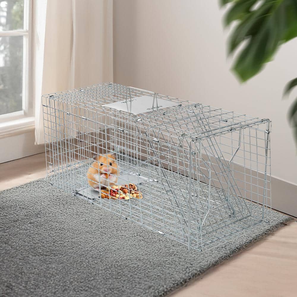31 in. Easy-Set Outdoor Iron Small Animal Folding Cage Trap - Hercitys