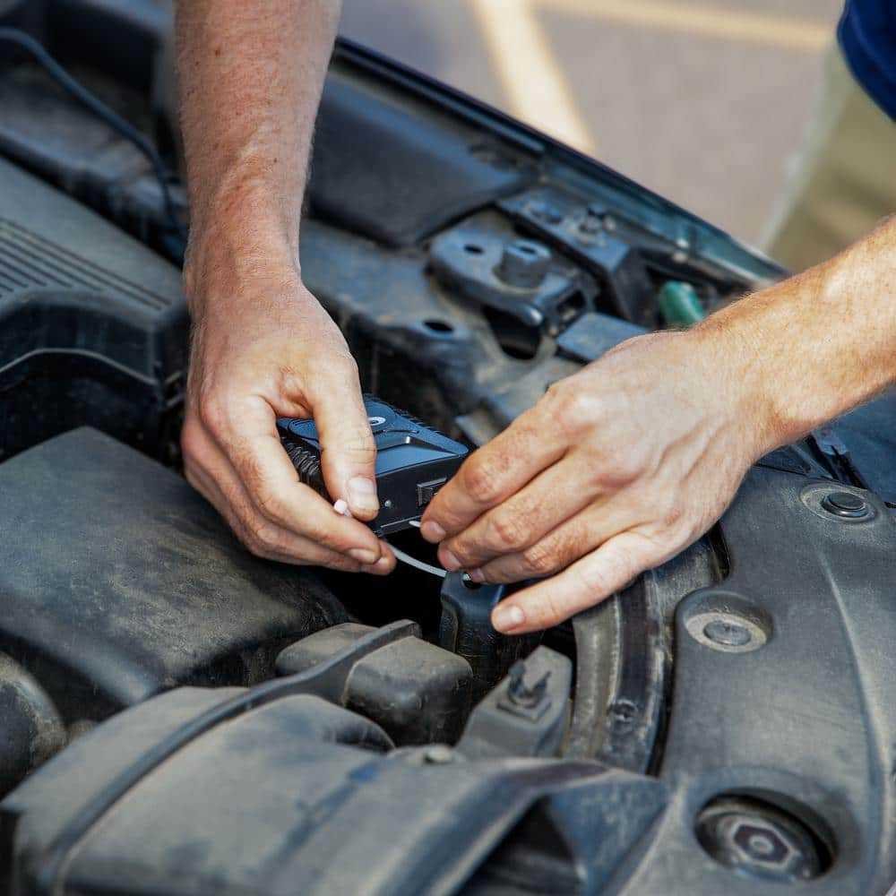 Under-Hood Ultrasonic Outdoor Rodent Repellent with Flashing Lights - Hercitys