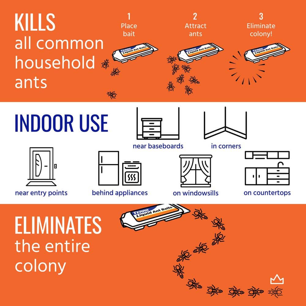 Liquid Ant Baits-3 Pack, 18-Baits Total - Hercitys