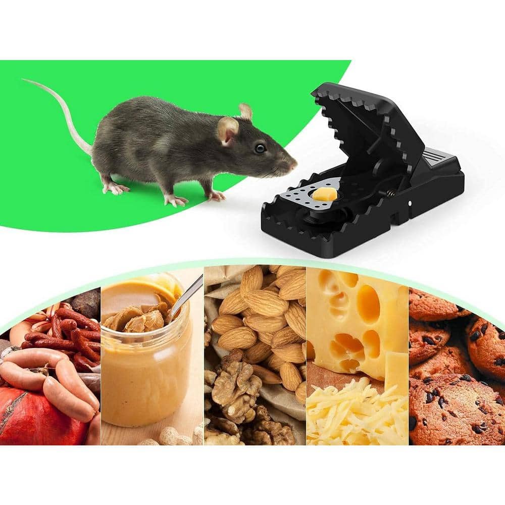 Indoor/Outdoor Small Mice Trap Catcher 6-Pack in Black - Hercitys