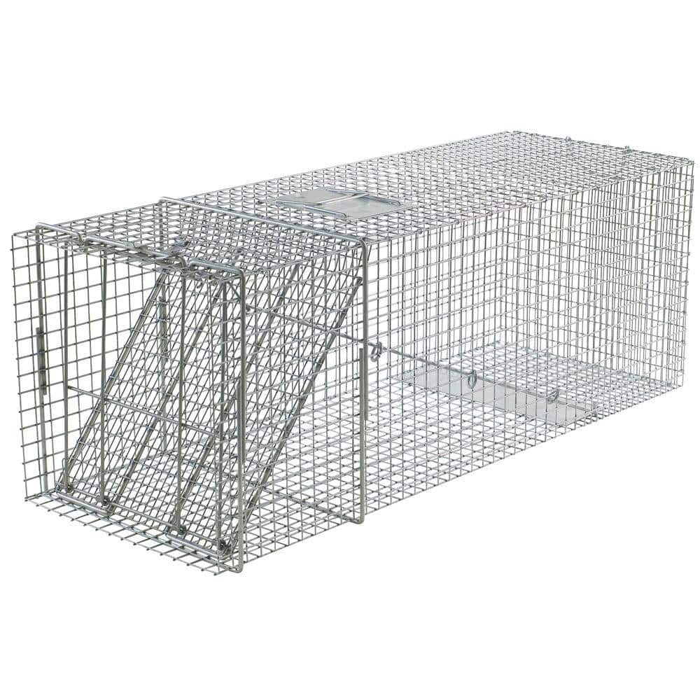 X-Large 1-Door Professional Humane Catch-and-Release Live Animal Cage Trap for Beaver, Racoon, Opossum, and Groundhog - Hercitys