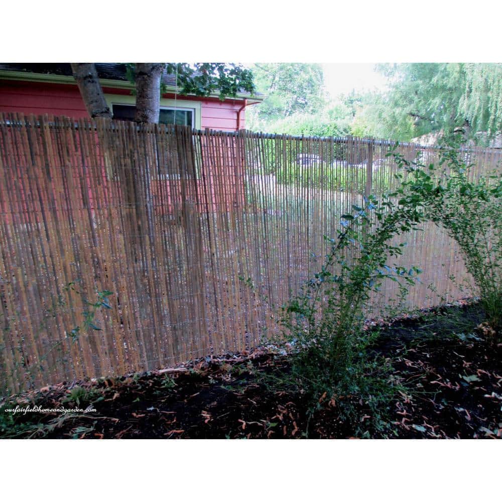 60 in. H Bamboo Slat Roll Garden Fence - Hercitys