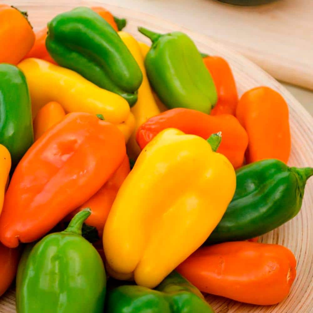 Sweet Pepper Yum Yums Hybrid Mixed Mini Bells Seed (15-Pack) - Hercitys