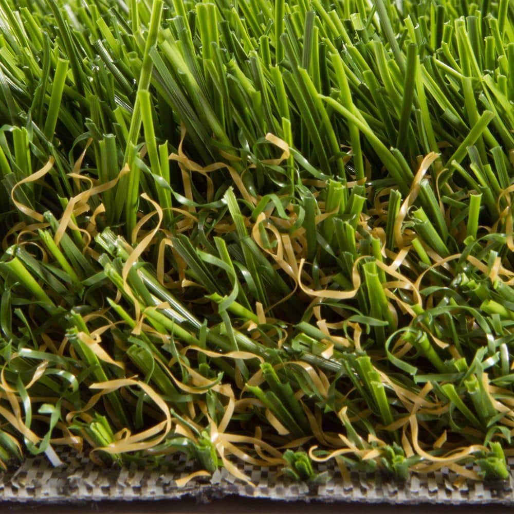 Bonita 15 ft. Wide x Cut to Length Green Artificial Grass Carpet - Hercitys
