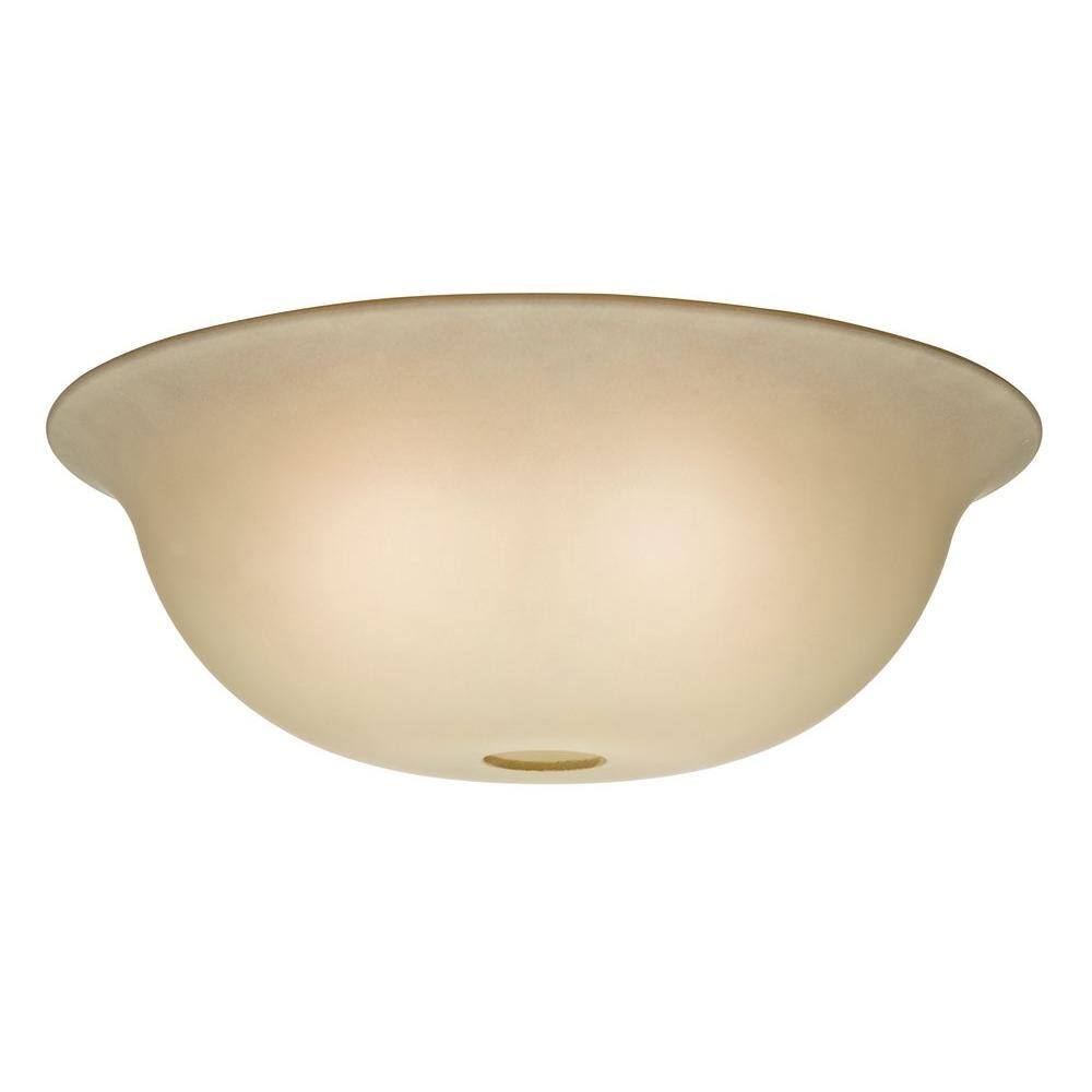 Tea Stain Standard Shape Glass Bowl for 99023 - Hercitys