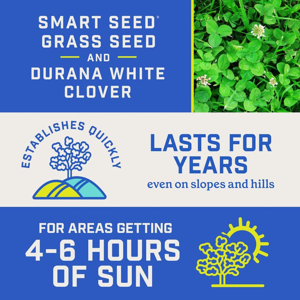 Smart Seed Clover Grass Seed Mix 7 lbs. - Hercitys