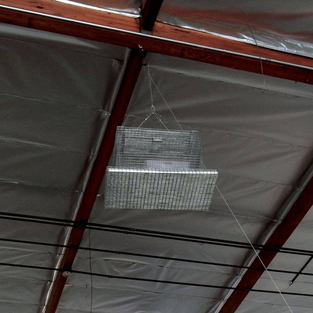 Sparrow Sky Trap - Hercitys