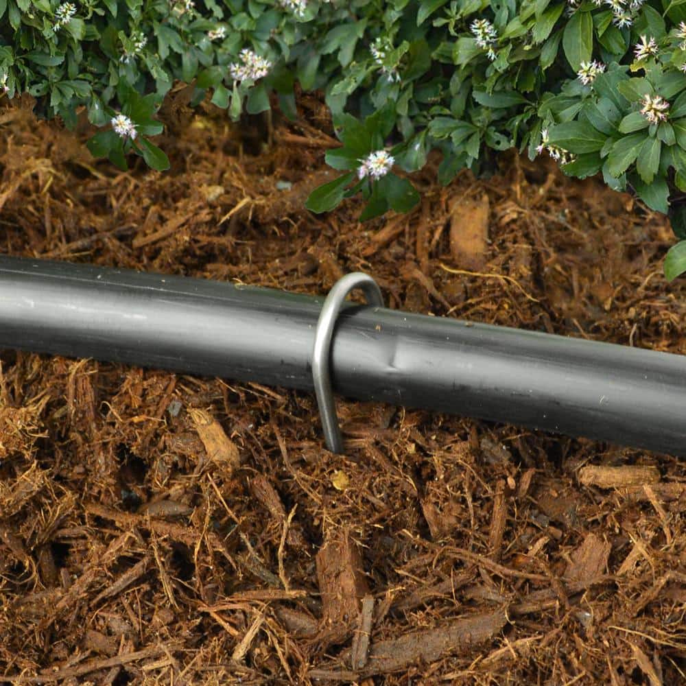 6 in. X 1 in. Galvanized Drip Irrigation Stakes (100-pack) - Hercitys