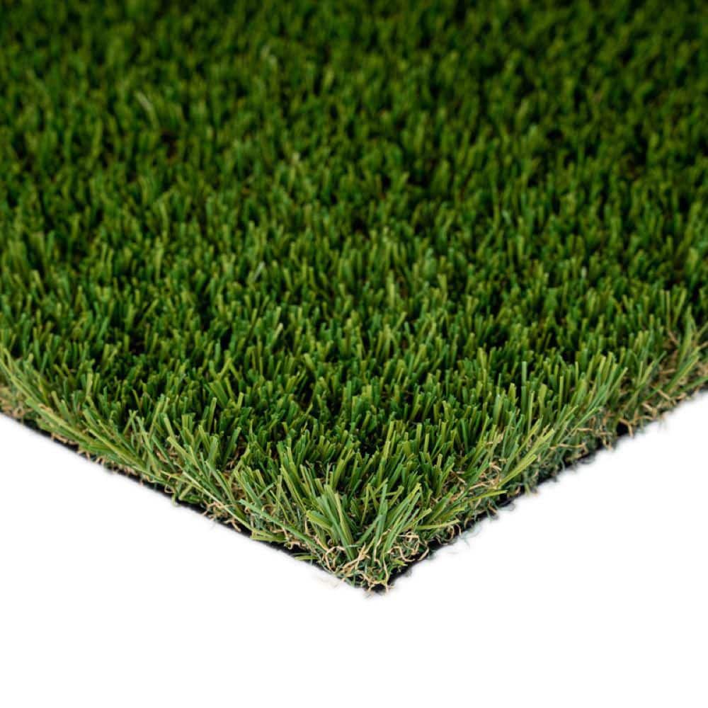 Sapphire 50 Fescue 15 ft. Wide x Cut to Length Green Artificial Grass Carpet - Hercitys