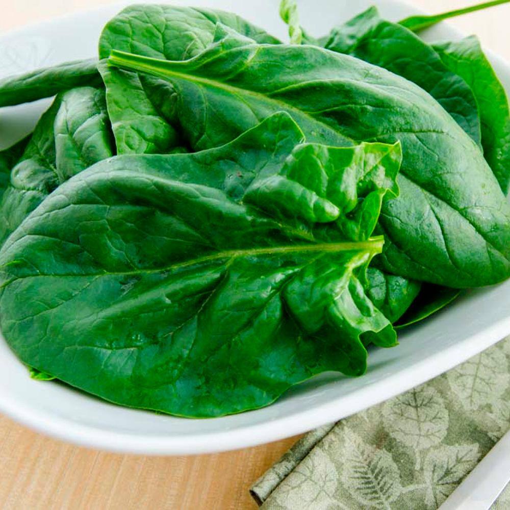 Spinach Goliath 15 ft. Seed Tape - Hercitys