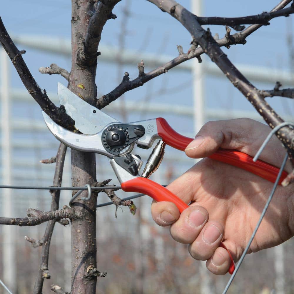 F2 8.4 in. High Performance Pruner with 1 in. Cut Capacity, Classic Model, The Original - Hercitys