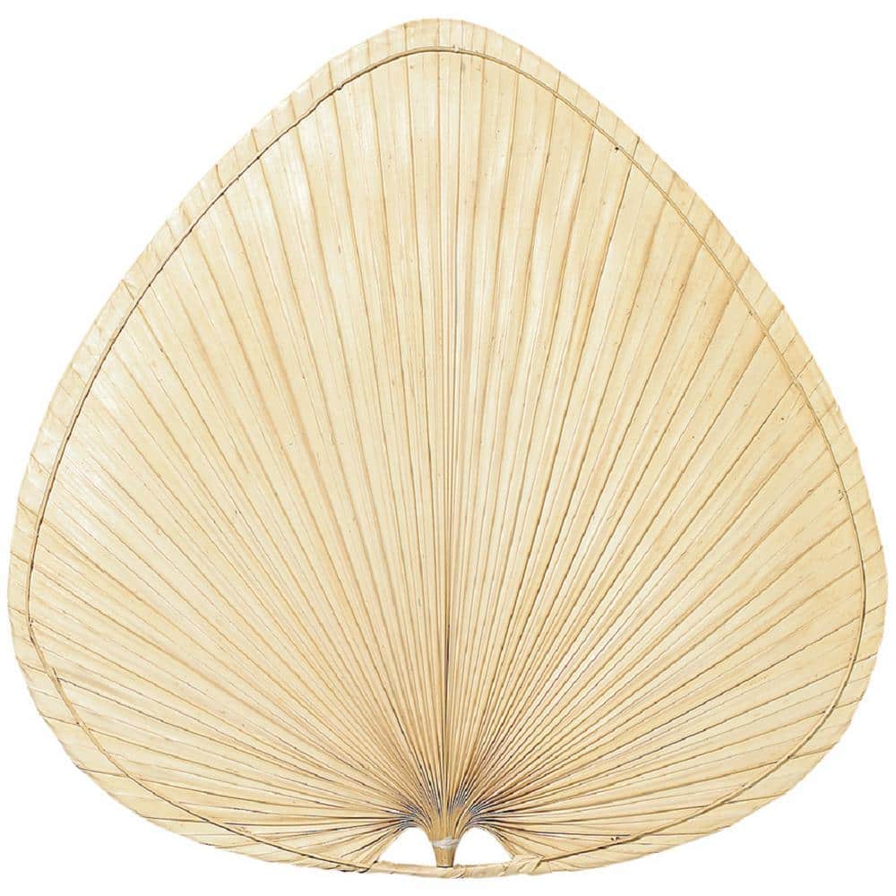 Natural Palm Fan Blades (5-Pack) - Hercitys