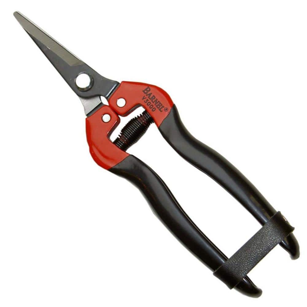 7-1/2 in. Classic Straight-Blade Needlenose Garden Pruning Shears - Hercitys