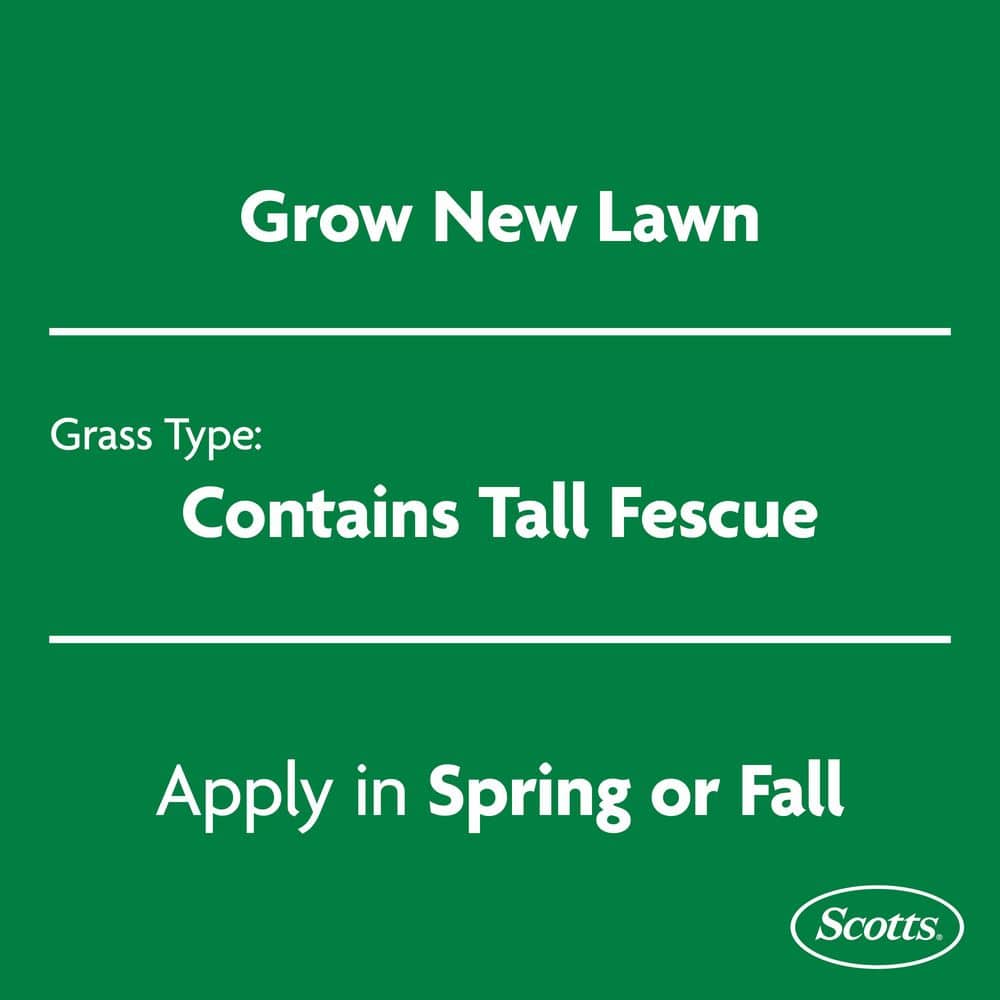 Turf Builder 16 lbs. Rapid Grass Tall Fescue Mix Combination Seed and Fertilizer Grows Green Grass in Just Weeks - Hercitys