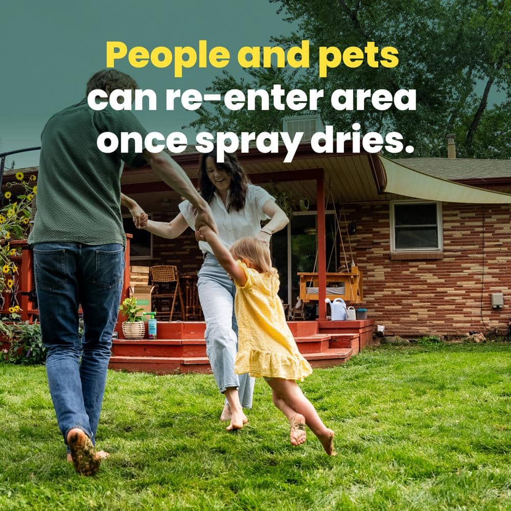 Dandelion Doom - Hercitys