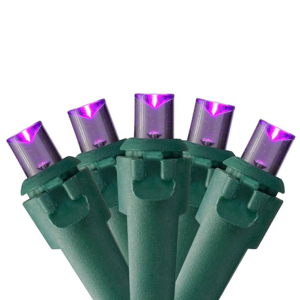 Set of 50 Purple LED Wide Angle Christmas Lights – Green Wire - Hercitys