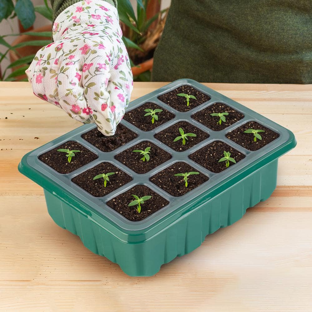 Seed Starter Trays with Domes (10-Pack) - Hercitys