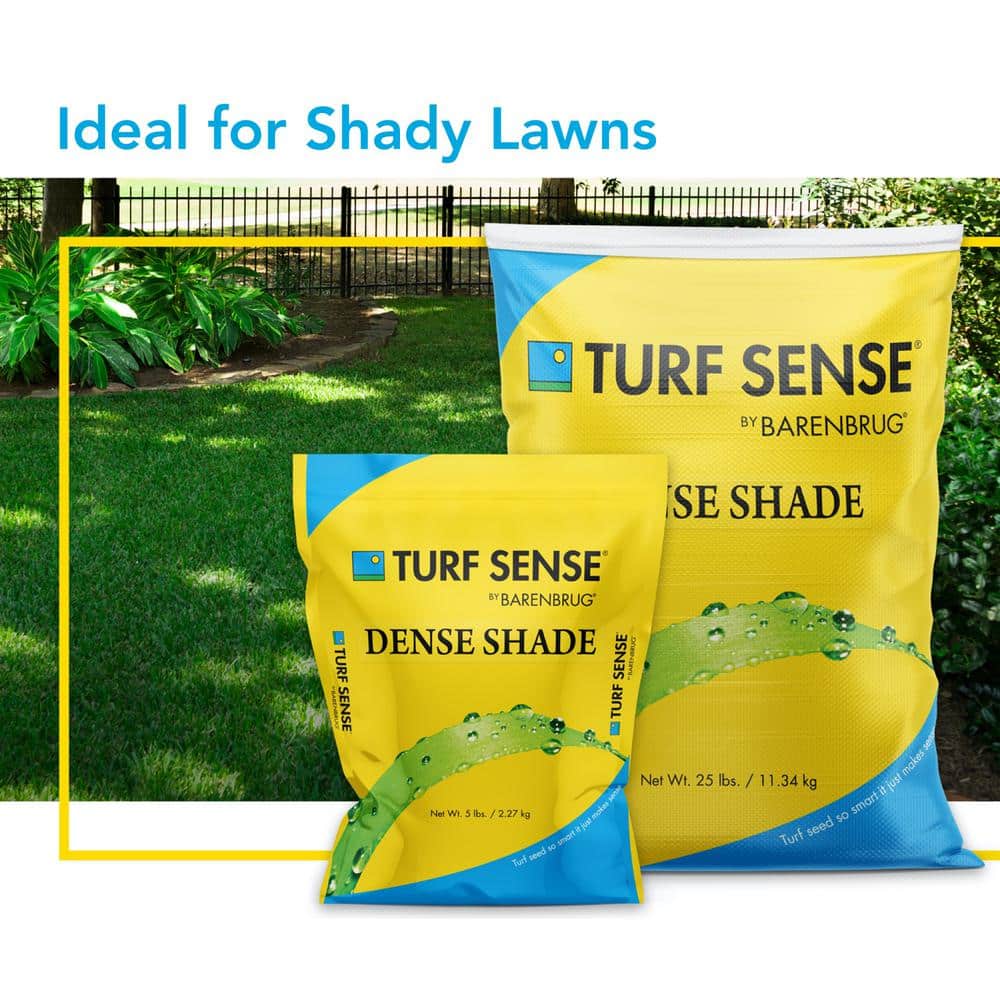 Turf Sense 5 lbs. Dense Shade Mix Grass Seed - Hercitys