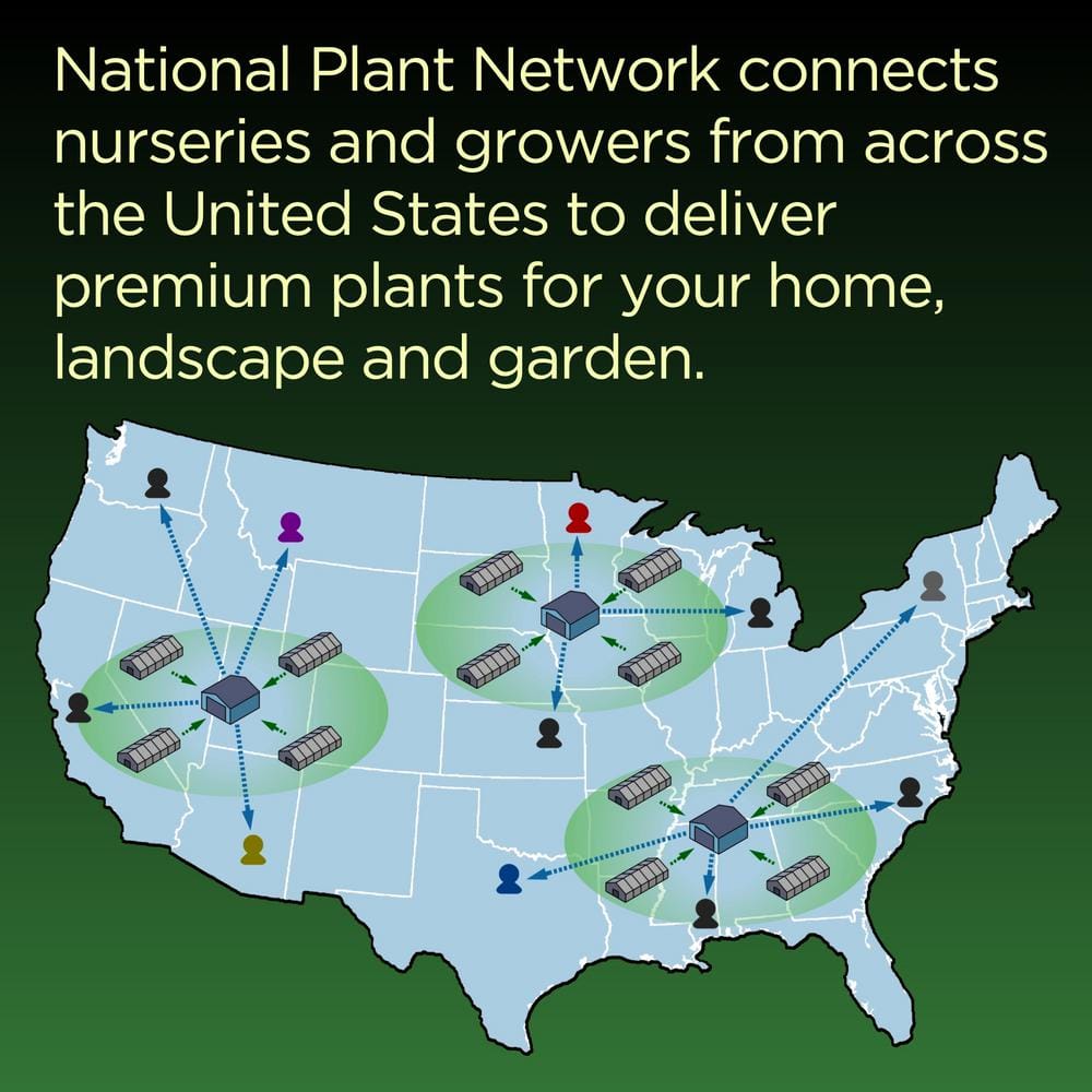 Bareroot Iris Paprikash Perennial Plant with Orange-Red Flowers (3-Pack) - Hercitys