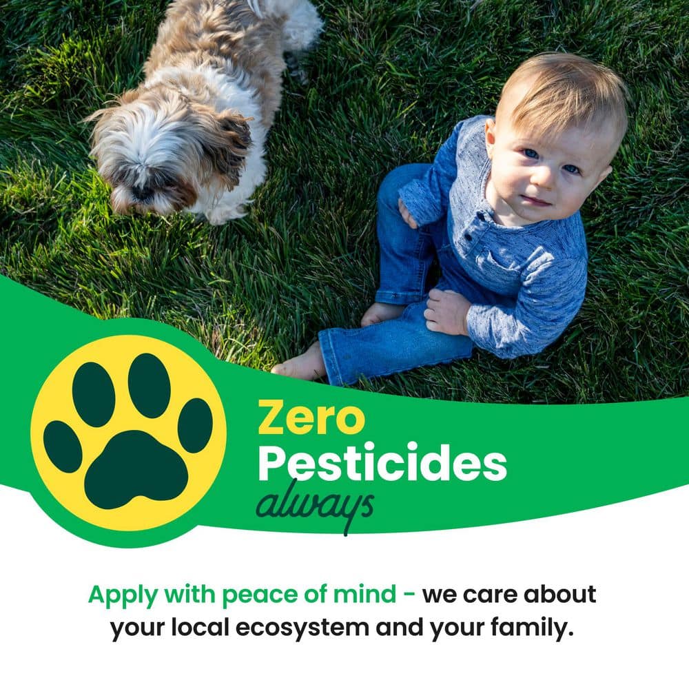 Beat the Drought Kit, 86 oz. 5,000 sq. ft., Spring and Summer Drought Resilience, Hose-On Liquid Lawn Fertilizer,18-0-3 - Hercitys