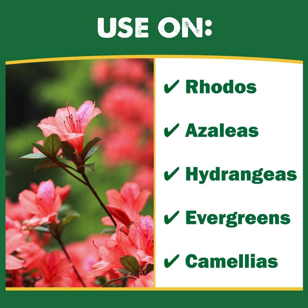 Holly Tone 27 lb. Organic Evergreen and Azalea Plant Food 4-3-4 - Hercitys