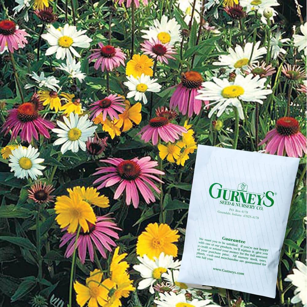 Shade Loving Wildflower Seed Mixture (0.5 oz. Seed Packet) - Hercitys