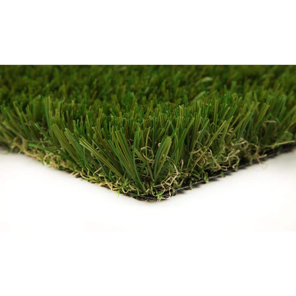 Classic Premium 65 Fescue 7.5 ft. W x Cut to Length Green Artificial Grass Turf - Hercitys