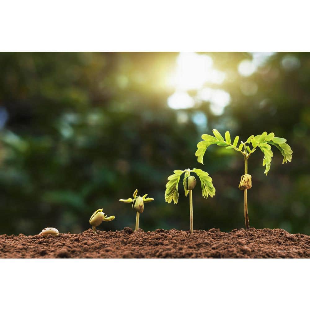 8 Qt. 100% Organic Worm Castings Flowering Blend - Hercitys