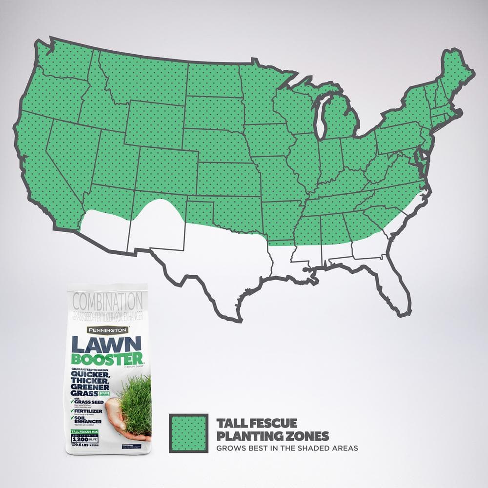 Lawn Booster Tall Fescue 9.6 lb. 1,200 sq. ft. Grass Seed with Lawn Fertilizer and Soil Enhancers - Hercitys