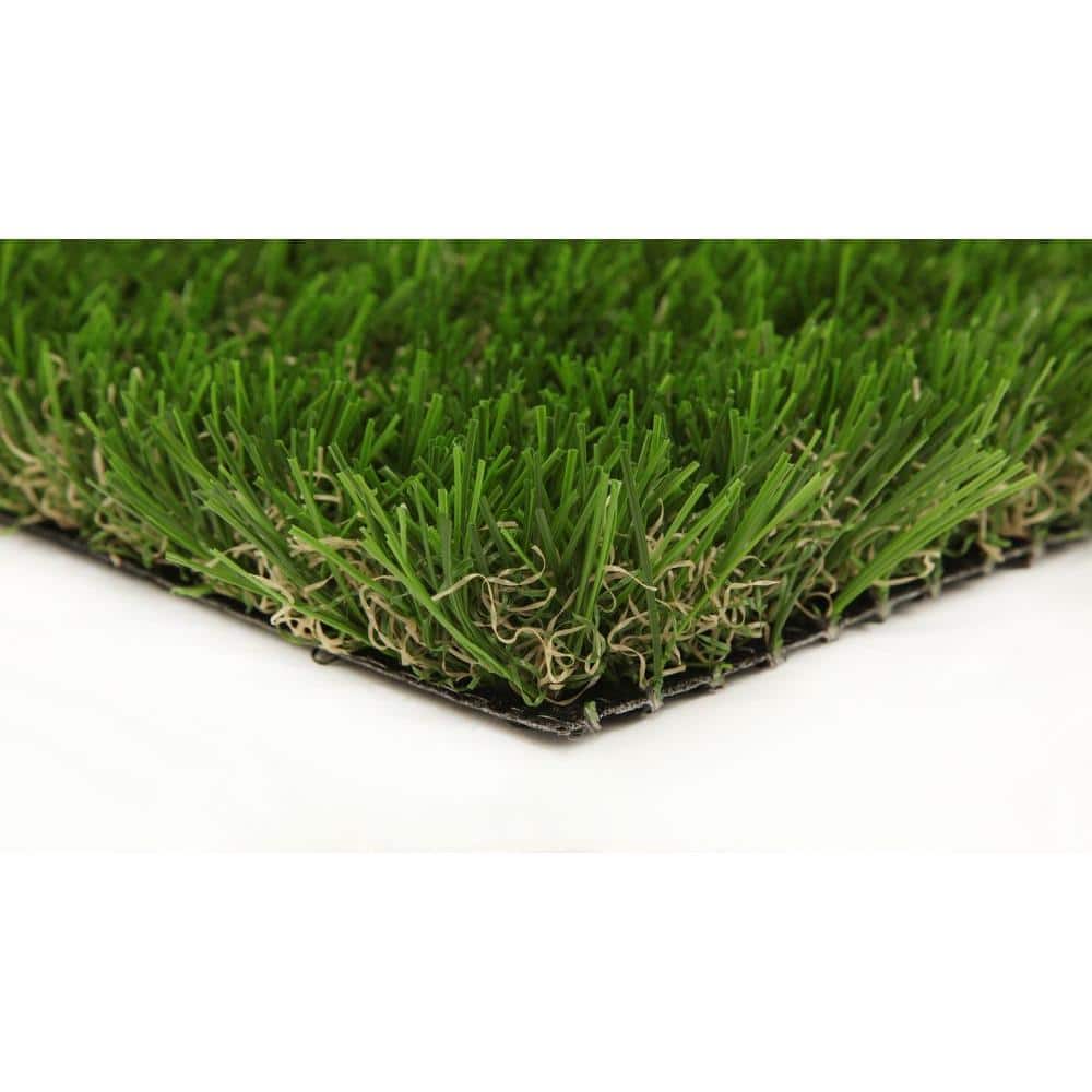 Classic 54 Spring 7.5 ft. W x Cut to Length Green Artificial Grass Turf - Hercitys