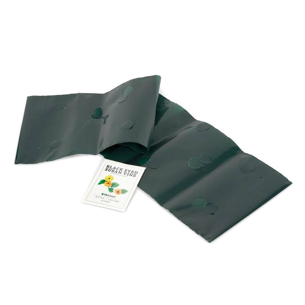 Bag O’Blooms Saddle Bag Black Eyed Susan Vine, DIY Seed Kit, Yellow and Black Flowers (1-Packet) - Hercitys