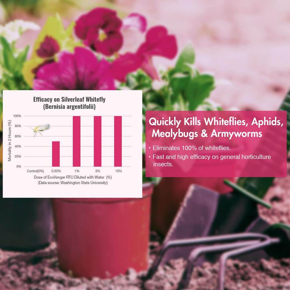 Garden Insect Control by EcoRaider 16 oz., Aphids, Mealybugs, Spider Mites, Army Worm, Child/Pet-Safe - Hercitys