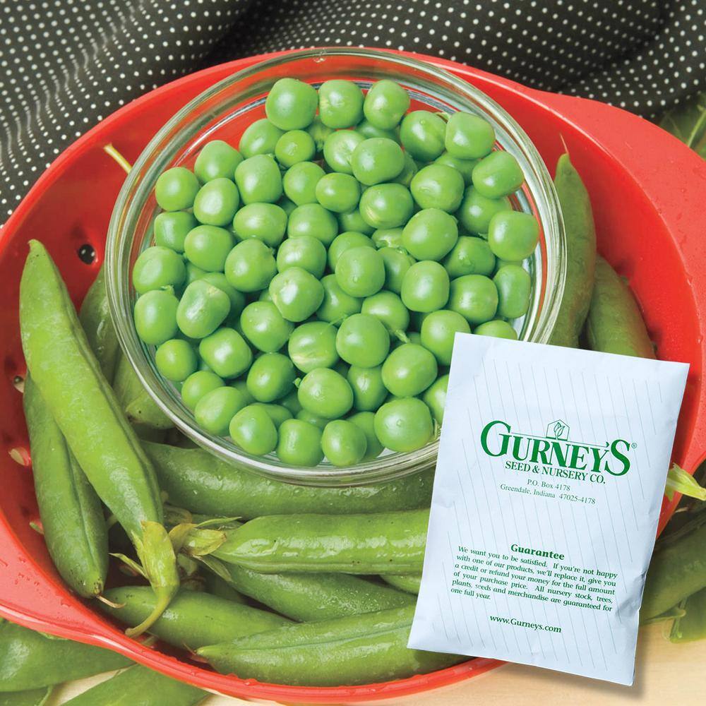 Shell Pea Mira Green (0.50 lb. Seed Packet) - Hercitys