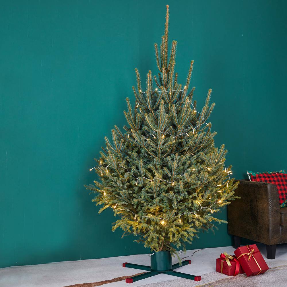 Green Metal Live Christmas Tree Stand – For Trees up to 9 ft. Tall - Hercitys