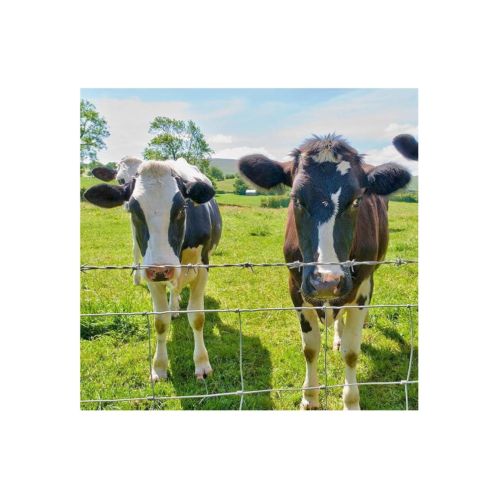 Farm Fence 4 ft. x 164 ft. 14 Gauge Heavy Zinc Coating Cattle Fence 48 in. H Galvanized Field Wire Fencing Deer Fence - Hercitys