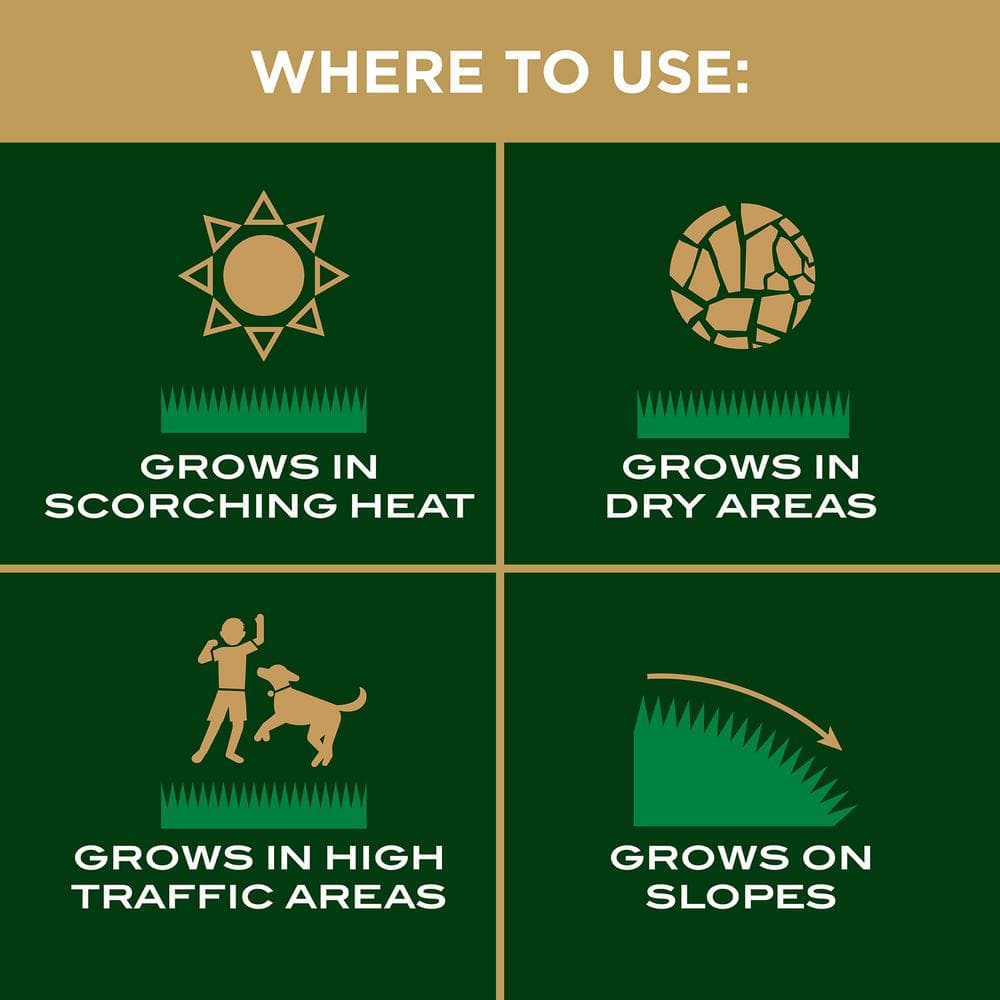 EZ Seed Patch and Repair Bermudagrass, 10 lbs., with Mulch, Bermudagrass Seed and Fertilizer for Scorching Heat (2-Pack) - Hercitys