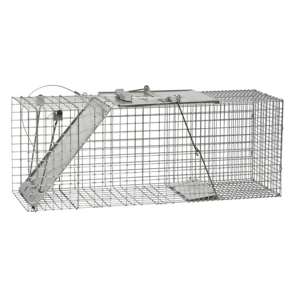 Large 1-Door Easy Set Live Animal Cage Trap for Racoon, Opossum, Muskrat, and Groundhog - Hercitys