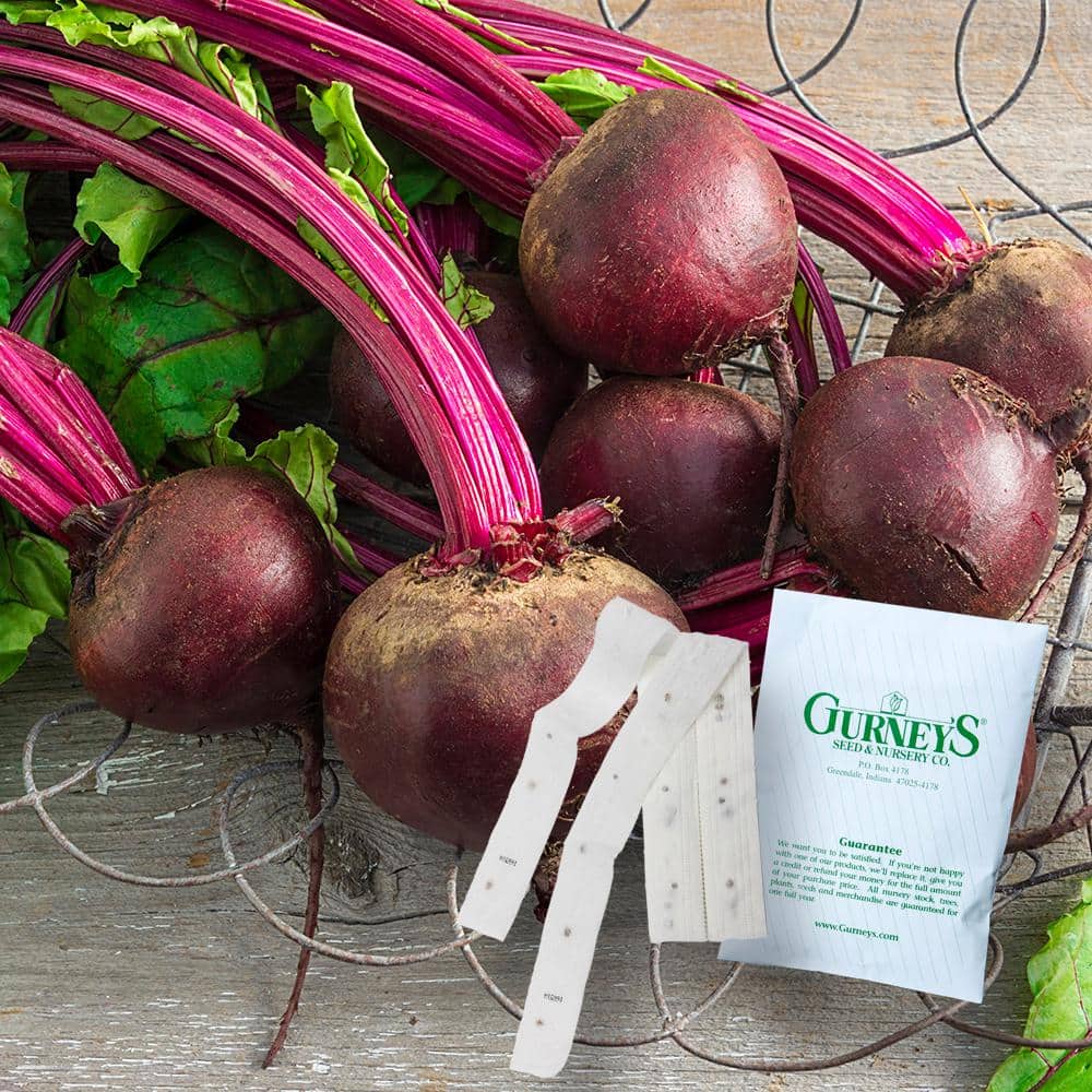 Beet Perfected Detroit 15 ft. Seed Tape - Hercitys