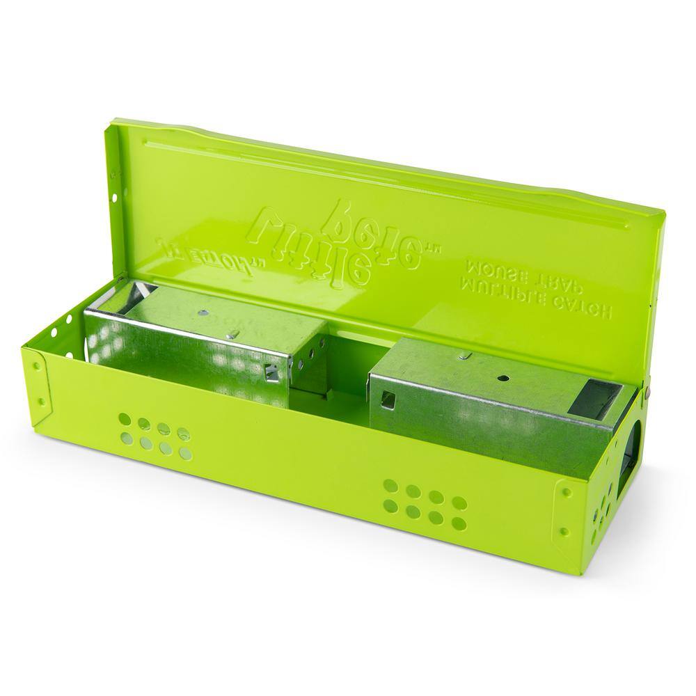 Little Pete Slim Multiple Catch Mouse Trap with Solid Lid, 12-Pack - Hercitys