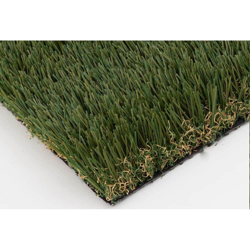 80 oz. Evolution 15 ft. Wide x Cut to Length Dark Field Olive Artificial Grass - Hercitys