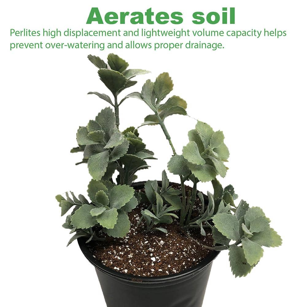 59 qt., 2 cu. ft. Organic Perlite Planting Soil Additive and Growing Medium White (2-1cf bags / 2CF total) - Hercitys