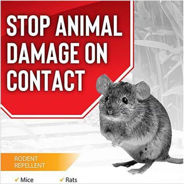 Rodent Stopper Animal Repellent, Gallon Ready-to-Use with Nested Sprayer - Hercitys