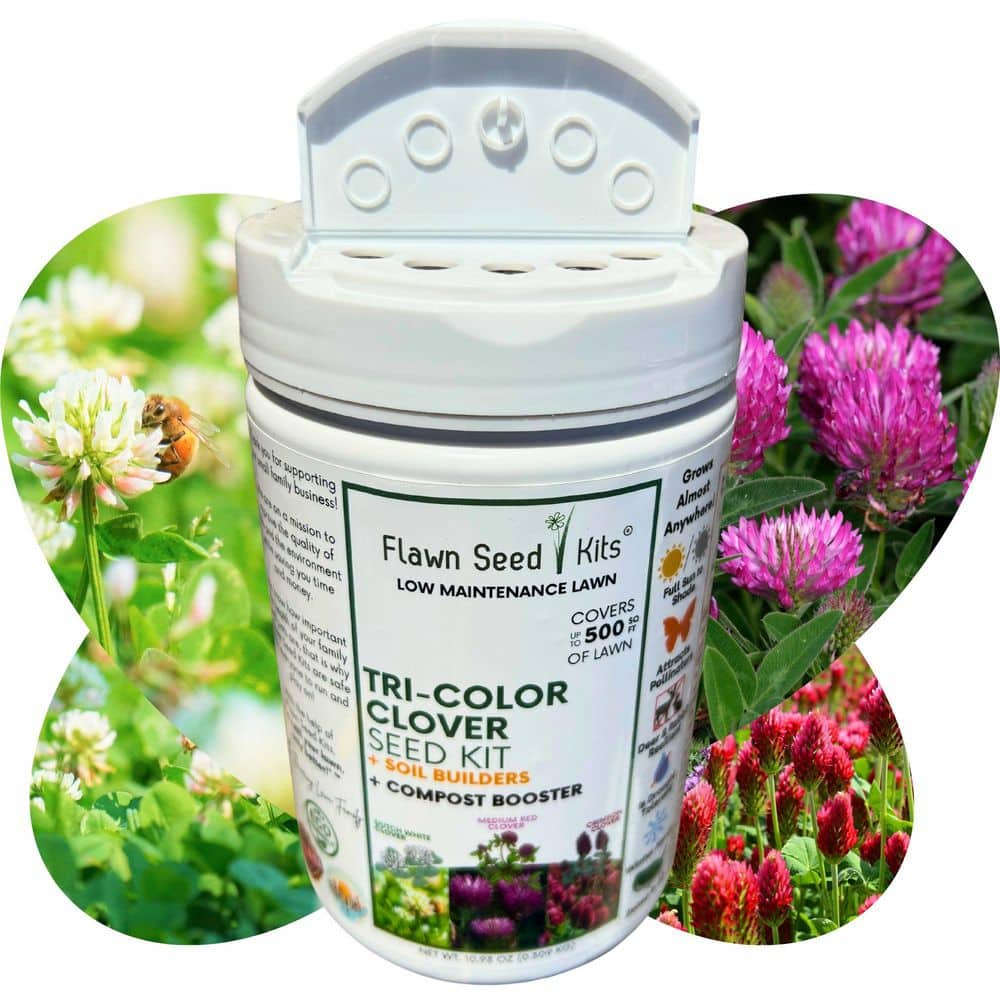 Tricolor Clover Flower Lawn Seed Kit, Easy Spread Shaker, Low Mnt, Alternative Ground Cover, Covers Up to 500 sq. ft. - Hercitys
