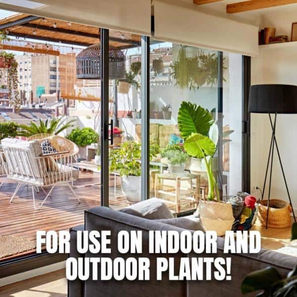 Moisturize 32 oz. Concentrate - Hercitys