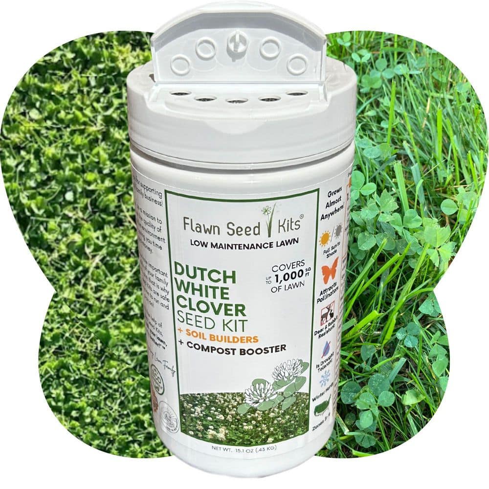 Dutch White Clover Flower Lawn Seed Kit,Easy Spread Shaker,Low Maintenance, Alt Ground Cover, Covers up to 1,000 sq. ft. - Hercitys